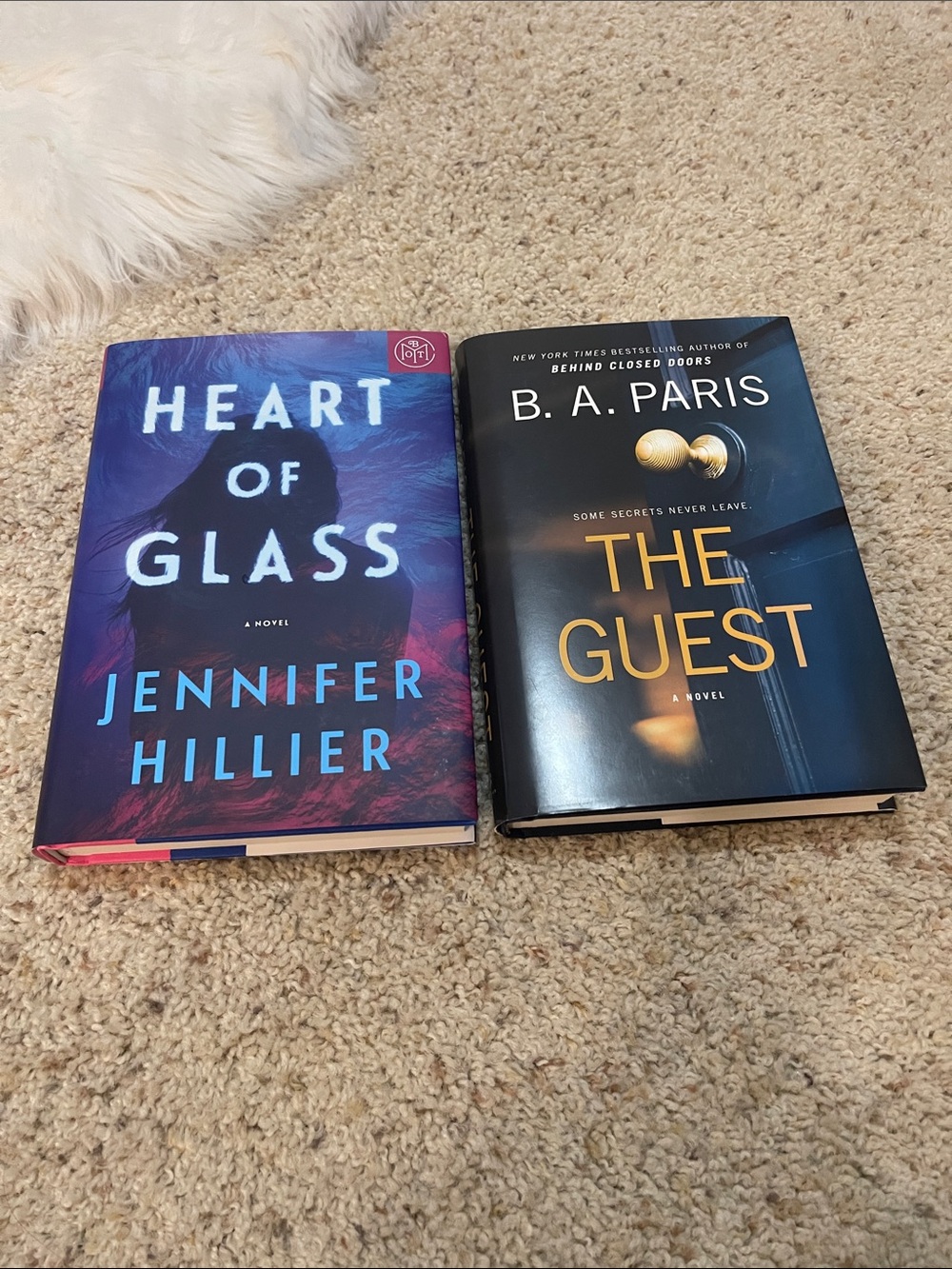 Thriller book bundle: the guest & heart of glass